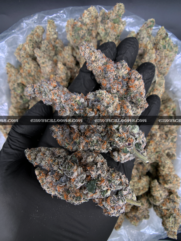 "Close-up of French Lotus strain featuring dense, trichome-coated purple buds with orange hairs, available for weed delivery in Virginia. This rare hybrid offers a citrusy, gassy aroma with earthy undertones and high THC potency, ideal for experienced users seeking premium flower on the East Coast.