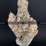 "Close-up of French Lotus strain featuring dense, trichome-coated purple buds with orange hairs, available for weed delivery in Virginia. This rare hybrid offers a citrusy, gassy aroma with earthy undertones and high THC potency, ideal for experienced users seeking premium flower on the East Coast.