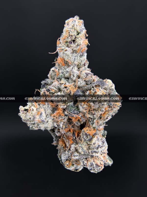 "Close-up of French Lotus strain featuring dense, trichome-coated purple buds with orange hairs, available for weed delivery in Virginia. This rare hybrid offers a citrusy, gassy aroma with earthy undertones and high THC potency, ideal for experienced users seeking premium flower on the East Coast.