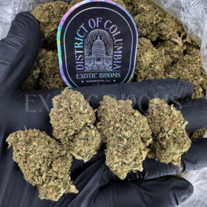 Triangle Mints Washington DC Virginia