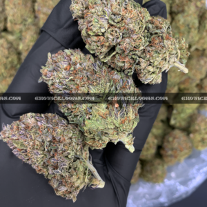 King Sherbet Strain available for DC Weed Delivery