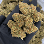 Lemon Cherry Gelato indica-dominant hybrid (22-26% THC) with bright cherry and lemon flavors — available for weed delivery in Washington DC, Northern Virginia, and Richmond VA via Exotic Blooms.