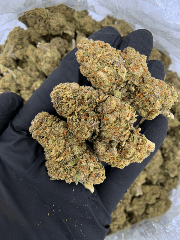 Lemon Cherry Gelato indica-dominant hybrid (22-26% THC) with bright cherry and lemon flavors — available for weed delivery in Washington DC, Northern Virginia, and Richmond VA via Exotic Blooms.