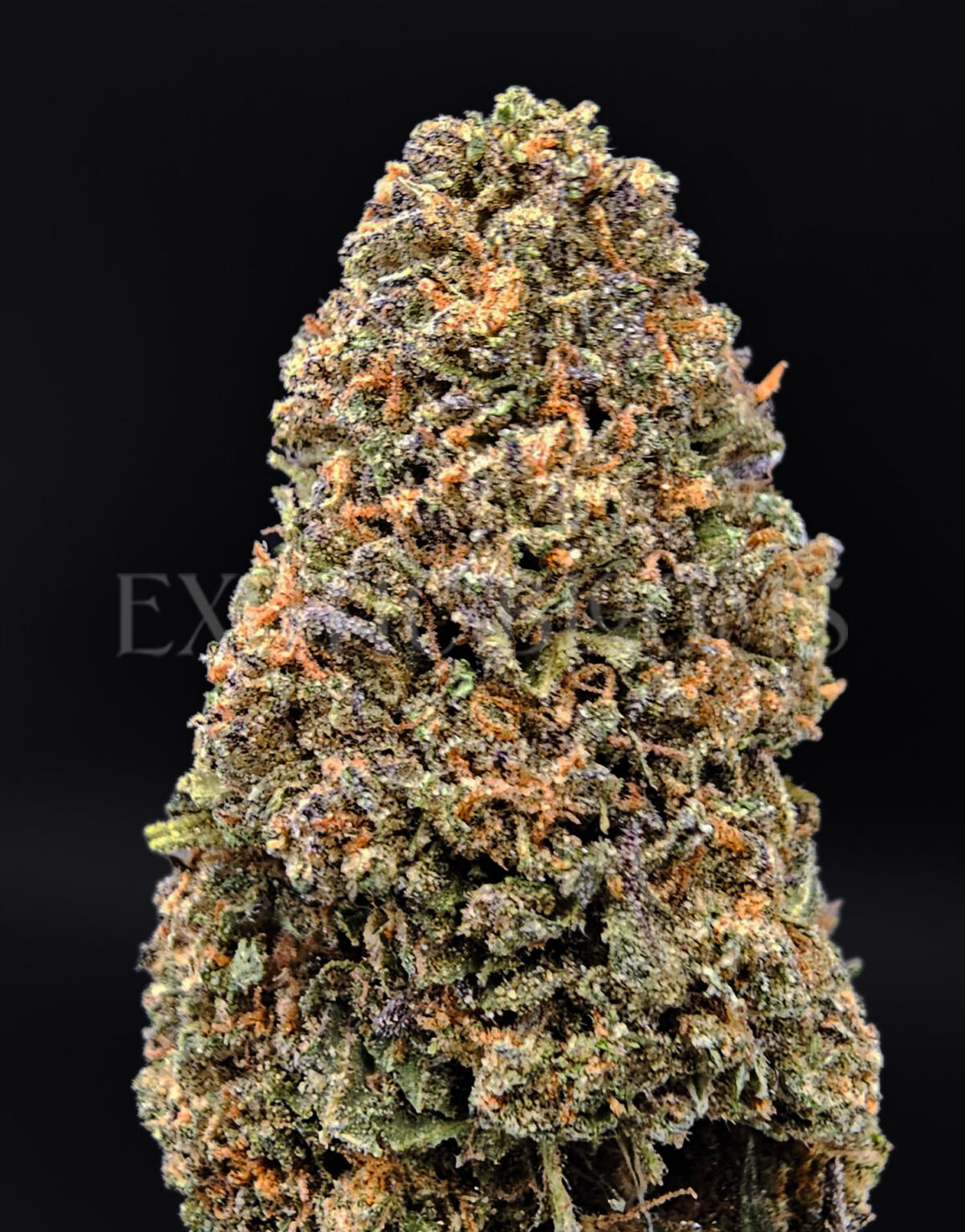 Candy Runtz Oz Deal *OUT OF STOCK* - Exotic Blooms Delivery - DC Weed ...