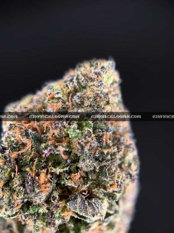 Close-up of Sweet Gas strain with dense, emerald-green buds, thin orange hairs, and golden-amber crystal trichomes, available for DC and Virginia weed delivery. The buds exude a strong gassy diesel aroma with hints of sweet blueberries, citrus, and woody pine.