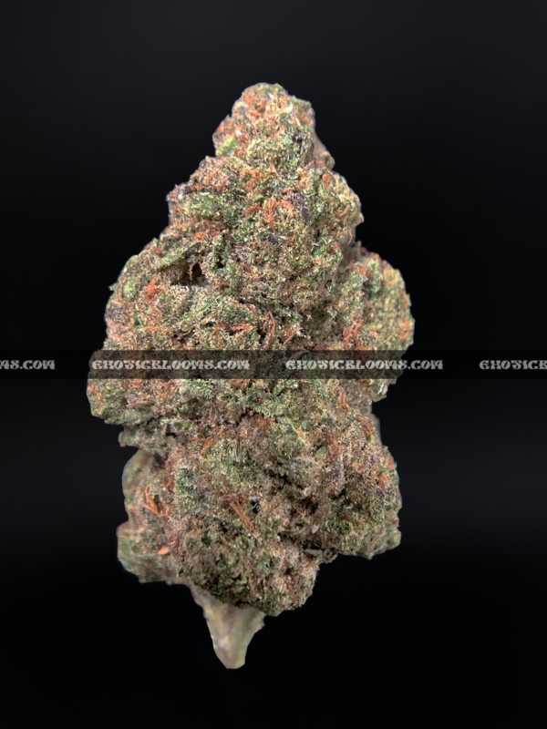 Close-up of 99 Problems strain featuring large, spade-shaped buds with bright orange hairs and frosty white trichomes, available for weed delivery in Virginia and Washington, DC. Known for its sweet berry-diesel flavor and energizing sativa effects