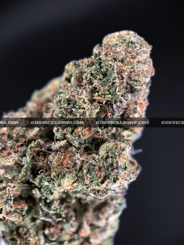 Close-up of 99 Problems strain featuring large, spade-shaped buds with bright orange hairs and frosty white trichomes, available for weed delivery in Virginia and Washington, DC. Known for its sweet berry-diesel flavor and energizing sativa effects