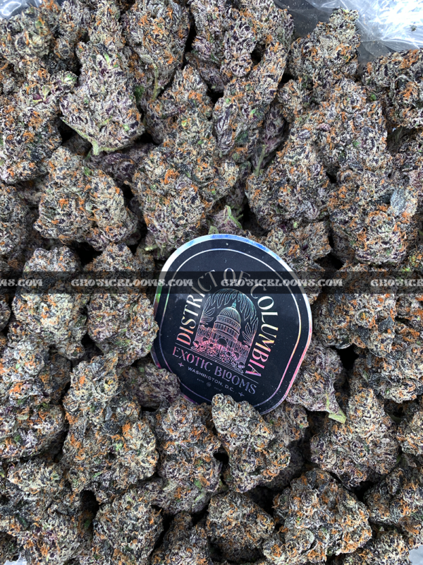 Close-up of Blue Lotus strain by Maven Genetics, featuring dense frosty buds with a gassy aroma and over 30% THC, available for rare weed delivery in Virginia and Washington, DC.
