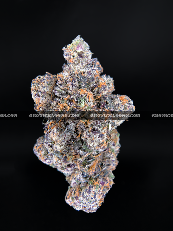 Close-up of Blue Lotus strain by Maven Genetics, featuring dense frosty buds with a gassy aroma and over 30% THC, available for rare weed delivery in Virginia and Washington, DC.