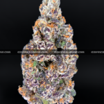 Close-up of Blue Lotus strain by Maven Genetics, featuring dense frosty buds with a gassy aroma and over 30% THC, available for rare weed delivery in Virginia and Washington, DC.