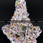 Close-up of Blue Lotus strain by Maven Genetics, featuring dense frosty buds with a gassy aroma and over 30% THC, available for rare weed delivery in Virginia and Washington, DC.