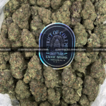 Close-up of Cake Pop strain showing long minty green buds with amber hairs and frosty amber trichomes, available for weed delivery in Virginia and Washington, DC. Known for its sweet vanilla cake flavor and euphoric full-body buzz.