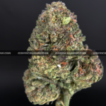 Close-up of Cake Pop strain showing long minty green buds with amber hairs and frosty amber trichomes, available for weed delivery in Virginia and Washington, DC. Known for its sweet vanilla cake flavor and euphoric full-body buzz.