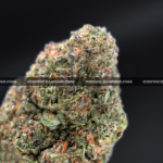 Close-up of Cake Pop strain showing long minty green buds with amber hairs and frosty amber trichomes, available for weed delivery in Virginia and Washington, DC. Known for its sweet vanilla cake flavor and euphoric full-body buzz.