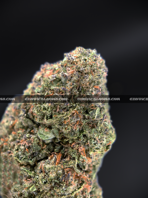 Close-up of Cake Pop strain showing long minty green buds with amber hairs and frosty amber trichomes, available for weed delivery in Virginia and Washington, DC. Known for its sweet vanilla cake flavor and euphoric full-body buzz.