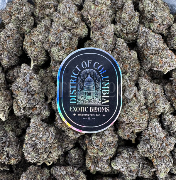 Blue Lemon Haze Washington DC Virginia