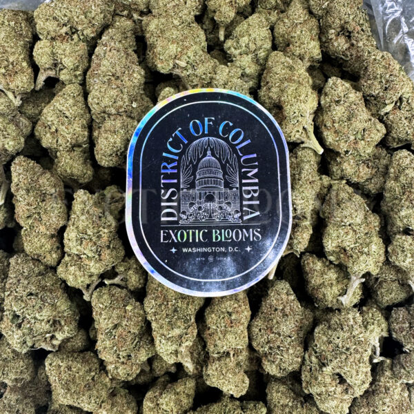Grape Ape Washington DC Virginia