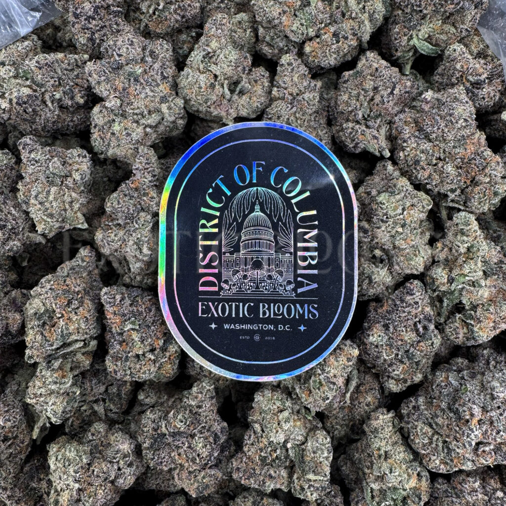 MK Ultra Exclusive Designer *OUT OF STOCK* - Exotic Blooms