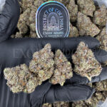 Blue Lemon Haze Washington DC Virginia