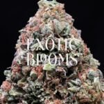 Ice Queen cannabis strain sativa hybrid 23-26% THC for weed delivery in Washington DC, Virginia, Maryland, and Richmond VA