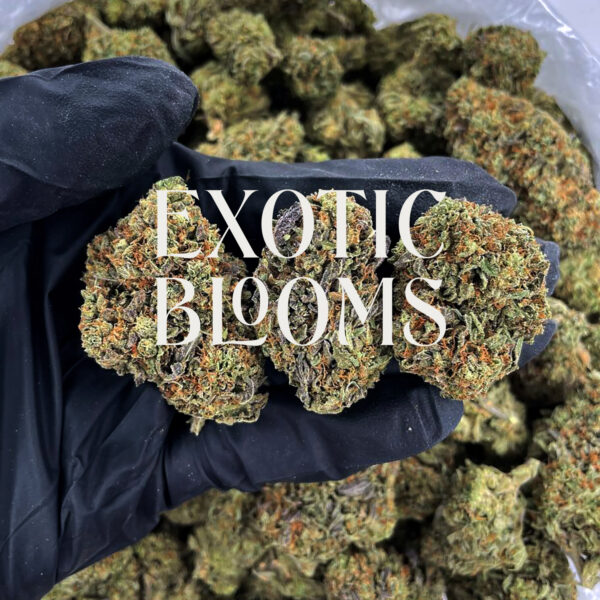 Ice Queen cannabis strain sativa hybrid 23-26% THC for weed delivery in Washington DC, Virginia, Maryland, and Richmond VA