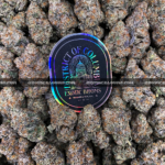 Close-up of London Truffle strain featuring dense, triangle-shaped dark olive green buds with thick orange hairs and frosty blue-tinted white trichomes, available for weed delivery in Virginia and Washington, DC. Known for its cherry chocolate flavor and euphoric relaxing high.
