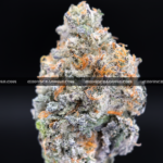 Close-up of London Truffle strain featuring dense, triangle-shaped dark olive green buds with thick orange hairs and frosty blue-tinted white trichomes, available for weed delivery in Virginia and Washington, DC. Known for its cherry chocolate flavor and euphoric relaxing high.