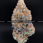 Close-up of London Truffle strain featuring dense, triangle-shaped dark olive green buds with thick orange hairs and frosty blue-tinted white trichomes, available for weed delivery in Virginia and Washington, DC. Known for its cherry chocolate flavor and euphoric relaxing high.