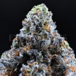 Blue Lemon Haze Washington DC Virginia