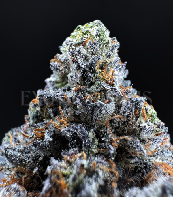 Blue Lemon Haze Washington DC Virginia