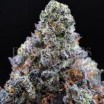 Blue Lemon Haze Washington DC Virginia