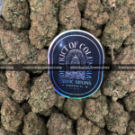 Close-up of Mochi Cake strain showing dense emerald-green buds with dark purple leaves, golden hairs, and frosty golden-white trichomes, available for weed delivery in Virginia and Washington, DC. Known for its creamy vanilla flavor and deeply relaxing indica effects.