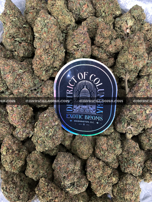 Close-up of Mochi Cake strain showing dense emerald-green buds with dark purple leaves, golden hairs, and frosty golden-white trichomes, available for weed delivery in Virginia and Washington, DC. Known for its creamy vanilla flavor and deeply relaxing indica effects.