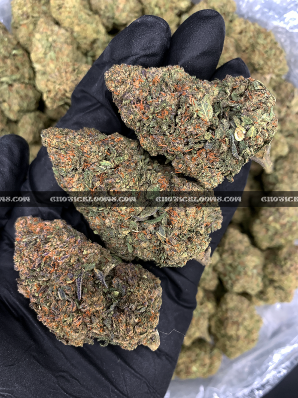 Close-up of Mochi Cake strain showing dense emerald-green buds with dark purple leaves, golden hairs, and frosty golden-white trichomes, available for weed delivery in Virginia and Washington, DC. Known for its creamy vanilla flavor and deeply relaxing indica effects.