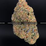Close-up of Mochi Cake strain showing dense emerald-green buds with dark purple leaves, golden hairs, and frosty golden-white trichomes, available for weed delivery in Virginia and Washington, DC. Known for its creamy vanilla flavor and deeply relaxing indica effects.