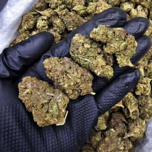 Pink Guava hybrid cannabis flower 26-28% THC available in Washington DC Virginia Maryland and Richmond VA