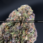 Close-up of Pink Guava strain featuring forest green buds with pink undertones, pink-orange hairs, and golden-amber trichomes, available for weed delivery in Virginia and Washington, DC. Known for its tropical guava flavor and euphoric hybrid effects.