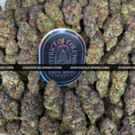 Close-up of Rainbow Marker strain featuring emerald-green buds with purple leaves, orange hairs, and frosty purple-tinted trichomes, available for weed delivery in Virginia and Washington, DC. Known for its citrus-berry flavor, vibrant appearance, and uplifting social effects.