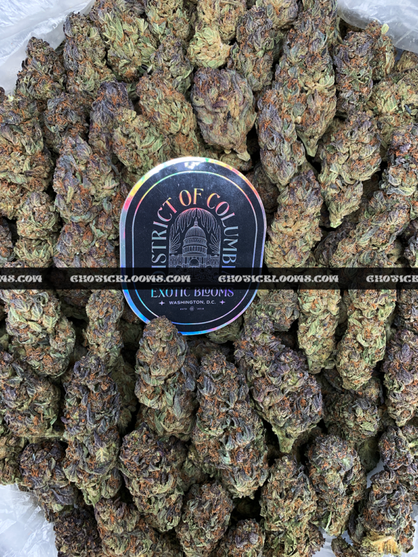 Close-up of Rainbow Marker strain featuring emerald-green buds with purple leaves, orange hairs, and frosty purple-tinted trichomes, available for weed delivery in Virginia and Washington, DC. Known for its citrus-berry flavor, vibrant appearance, and uplifting social effects.
