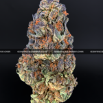 Close-up of Rainbow Marker strain featuring emerald-green buds with purple leaves, orange hairs, and frosty purple-tinted trichomes, available for weed delivery in Virginia and Washington, DC. Known for its citrus-berry flavor, vibrant appearance, and uplifting social effects.