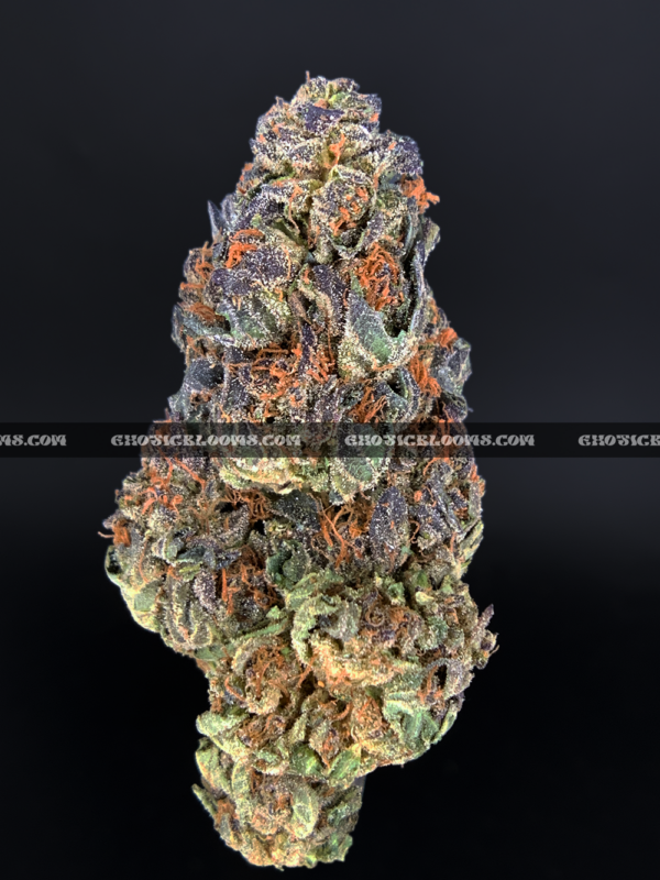 Close-up of Rainbow Marker strain featuring emerald-green buds with purple leaves, orange hairs, and frosty purple-tinted trichomes, available for weed delivery in Virginia and Washington, DC. Known for its citrus-berry flavor, vibrant appearance, and uplifting social effects.