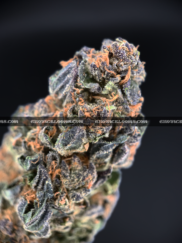 Close-up of Rainbow Marker strain featuring emerald-green buds with purple leaves, orange hairs, and frosty purple-tinted trichomes, available for weed delivery in Virginia and Washington, DC. Known for its citrus-berry flavor, vibrant appearance, and uplifting social effects.