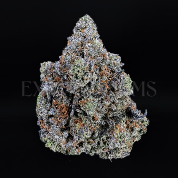 Blue Lemon Haze Washington DC Virginia