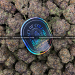 Close-up of Slapz strain showing dense olive green buds with blue undertones, amber hairs, and a frosty layer of blue-tinted trichomes, available for weed delivery in Virginia and Washington, DC. Known for its sweet lemon-lavender flavor and hard-hitting euphoric high.