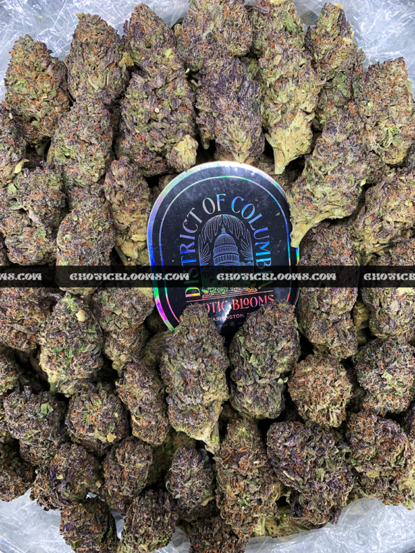 Animal Mint Cake cannabis – sweet vanilla mint hybrid for VA and DC cannabis delivery.