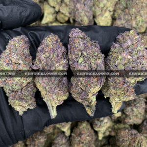Animal Mint Cake cannabis – sweet vanilla mint hybrid for VA and DC cannabis delivery.