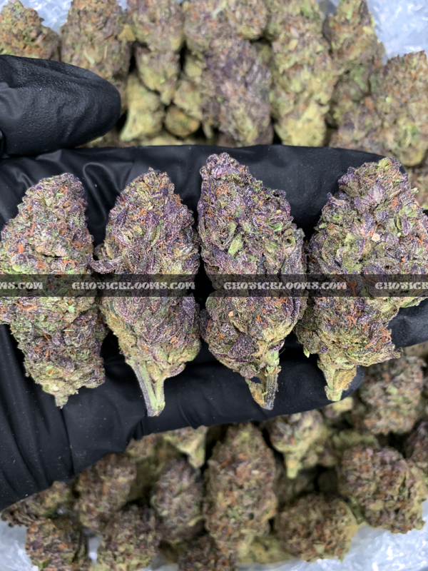 Animal Mint Cake cannabis – sweet vanilla mint hybrid for VA and DC cannabis delivery.