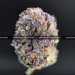 Animal Mint Cake cannabis – sweet vanilla mint hybrid for VA and DC cannabis delivery.