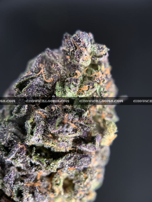 Animal Mint Cake cannabis – sweet vanilla mint hybrid for VA and DC cannabis delivery.