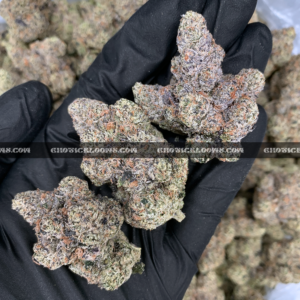 Blue Agape cannabis strain – rare 34% THC hybrid for delivery in Virginia and DC.